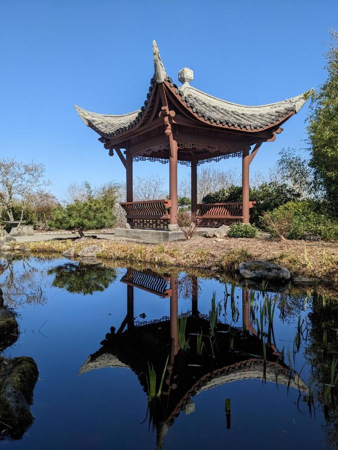 High Point Guesthouse - Next To Seattle Chinese Garden Extérieur photo