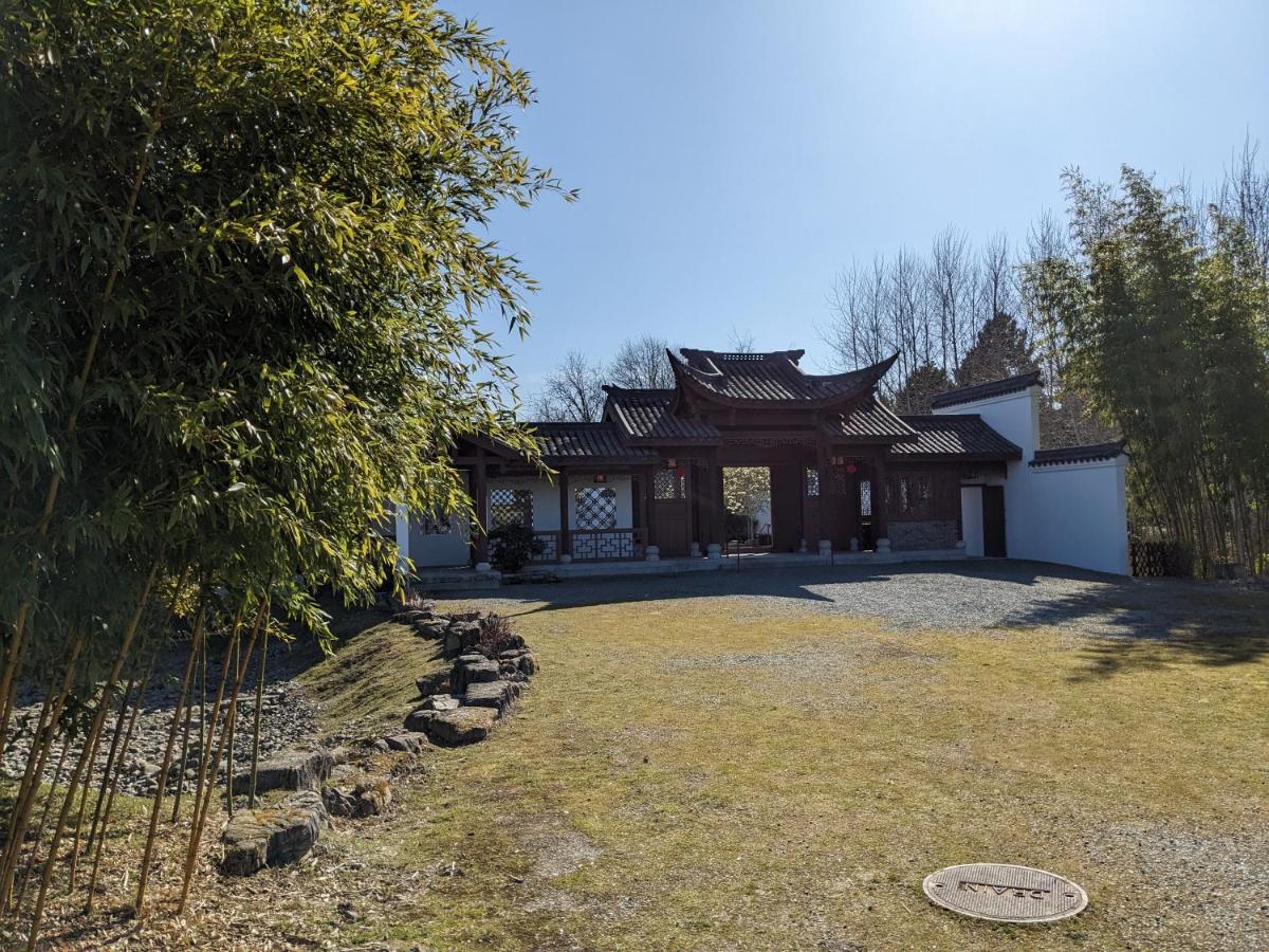 High Point Guesthouse - Next To Seattle Chinese Garden Extérieur photo